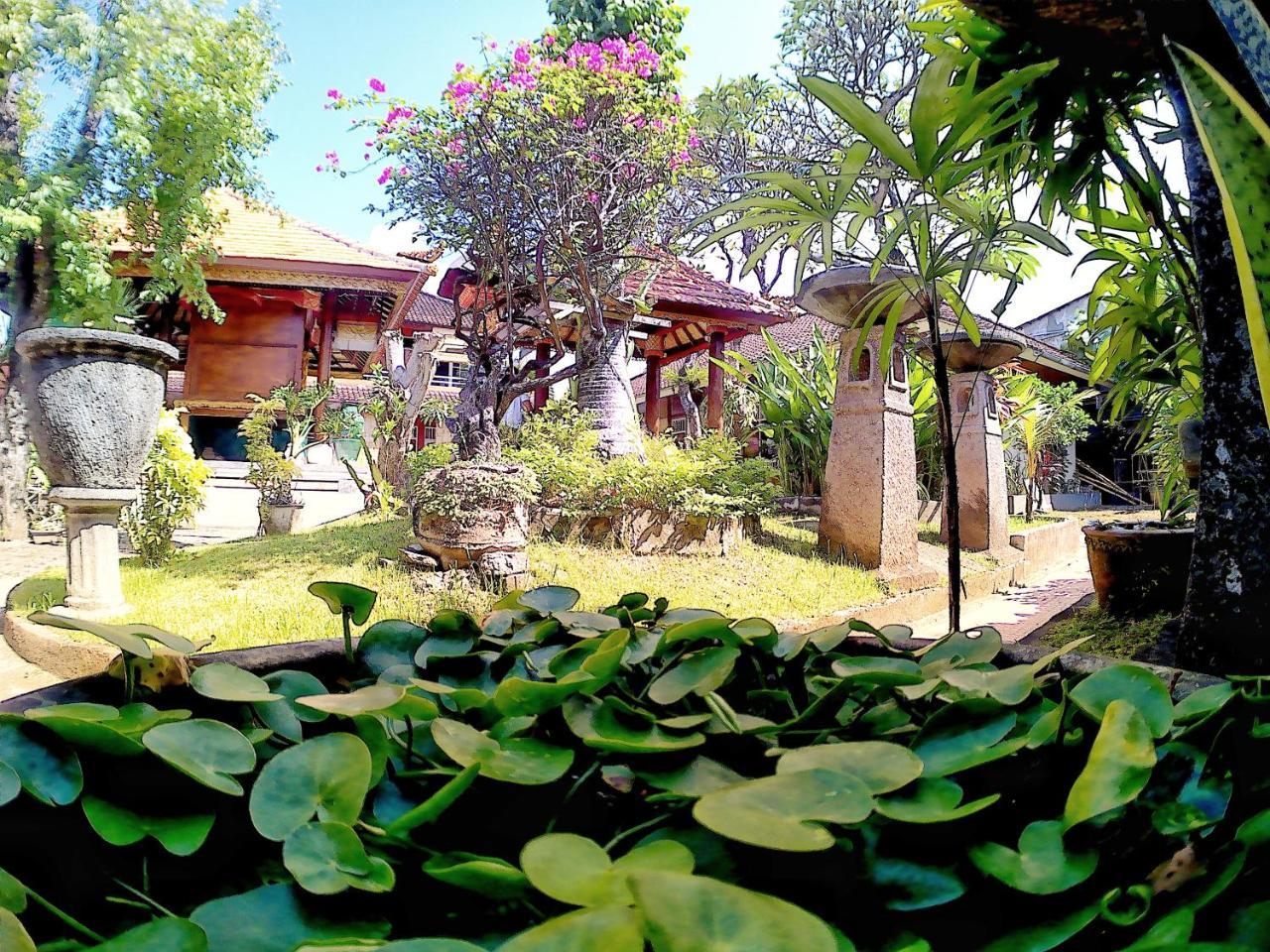 Surf Doggie Inn Kuta Lombok Exteriér fotografie